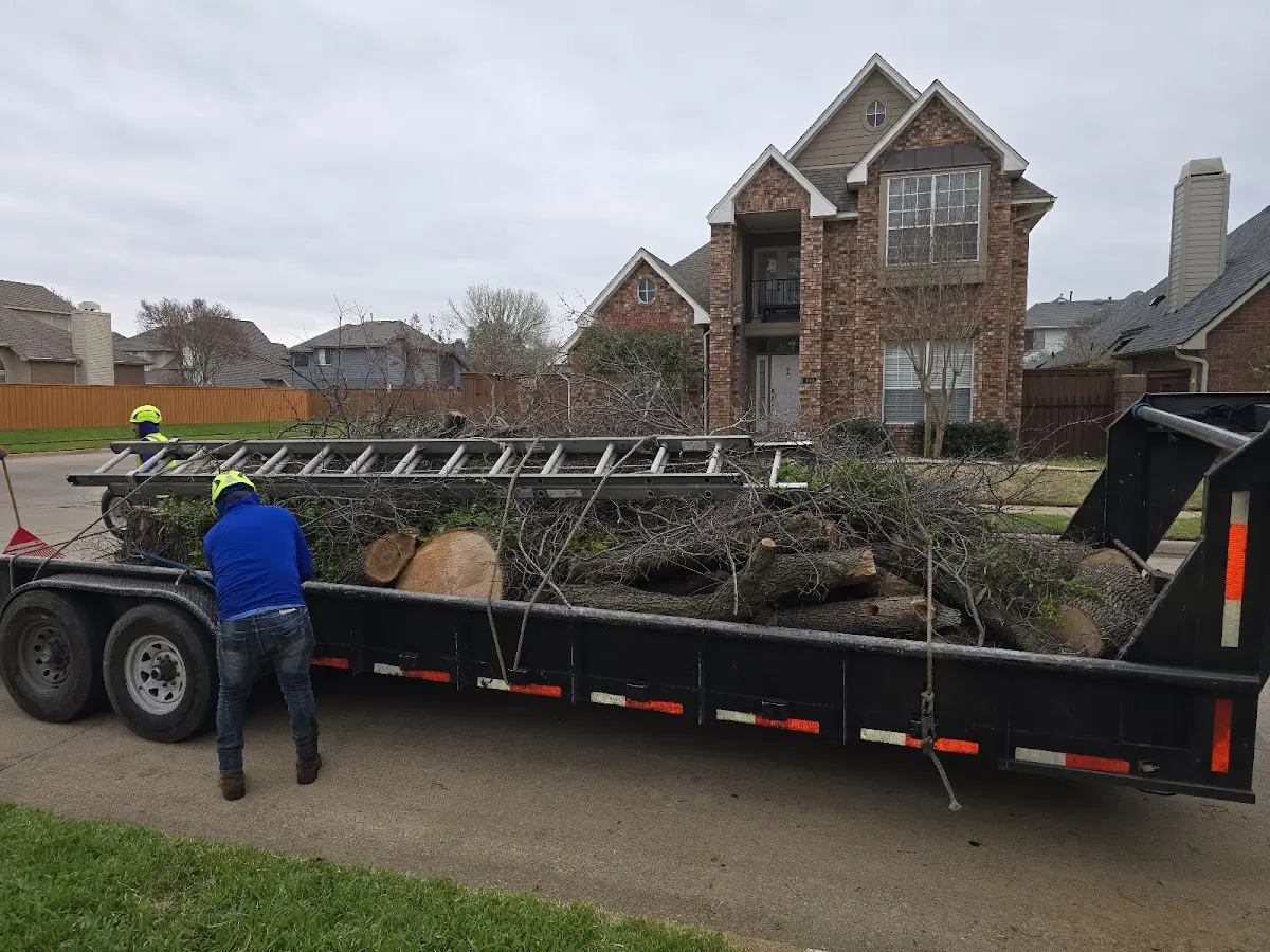 Expert Lot Clearing with proper safety equipment in Bear Lake